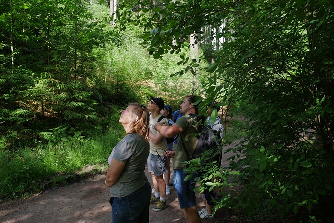 3 in 1 Tour Brewery & Castle in Bohemian Paradise Unesco Geopark - A 3 in 1 day in Bohemian Paradise UNESCO Geopark