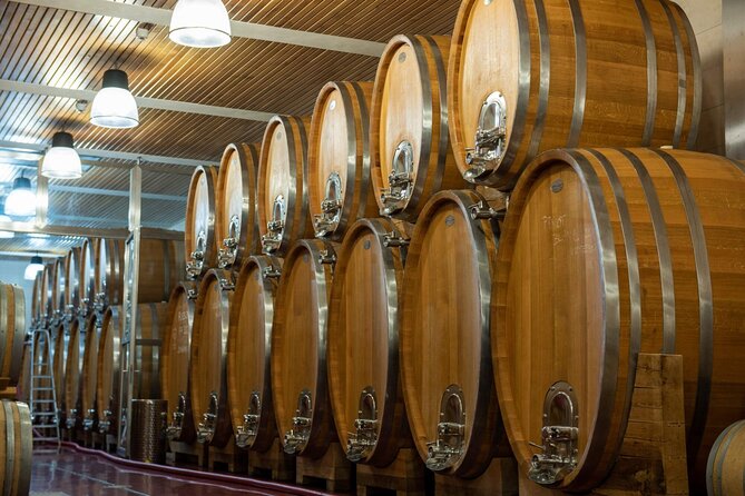 A delightful wine tasting in the scenic countryside with lunch - Bohemian Uplands Volcanic Terrain and Off-Road Views From the 4x4