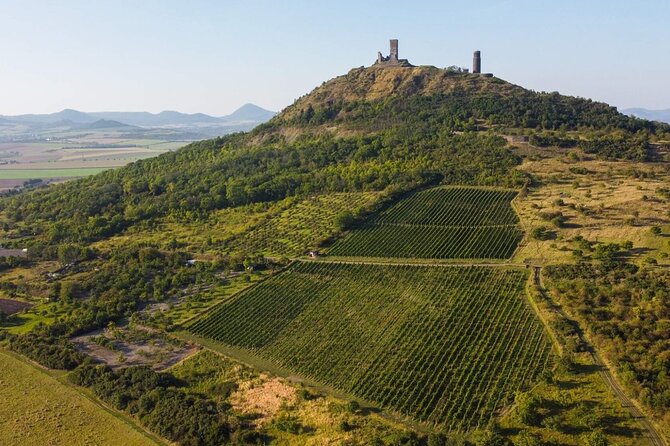 A delightful wine tasting in the scenic countryside with lunch - Lunch at the Winery Restaurant, Plus Bottled Water and Wine With Food