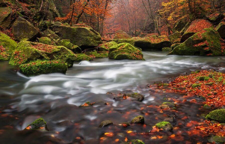 Bohemian Switzerland: Private Day Trip from Prague - Key things to know before you go