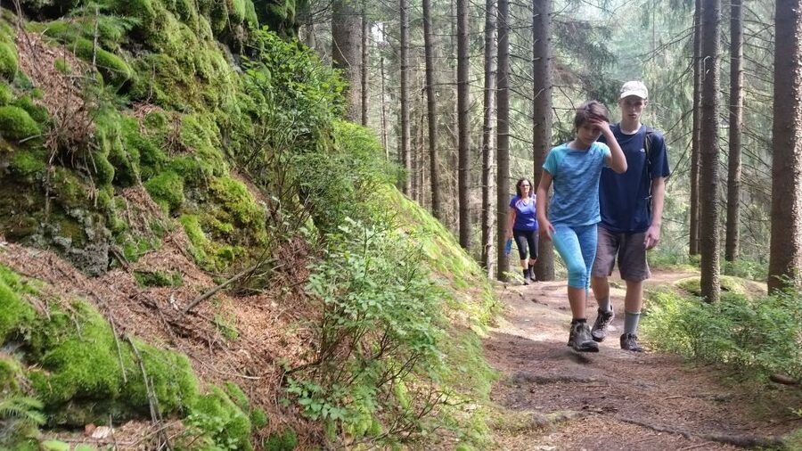 Bohemian Switzerland: Private Day Trip from Prague - Pravčická Brána: the “small hike” with the big payoff