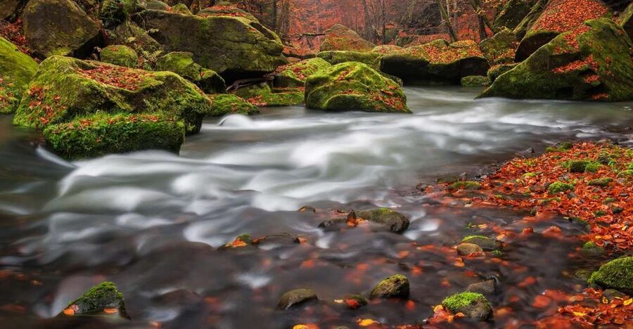Bohemian Switzerland: Private Day Trip from Prague - Should you book the Bohemian Switzerland private day trip from Prague?