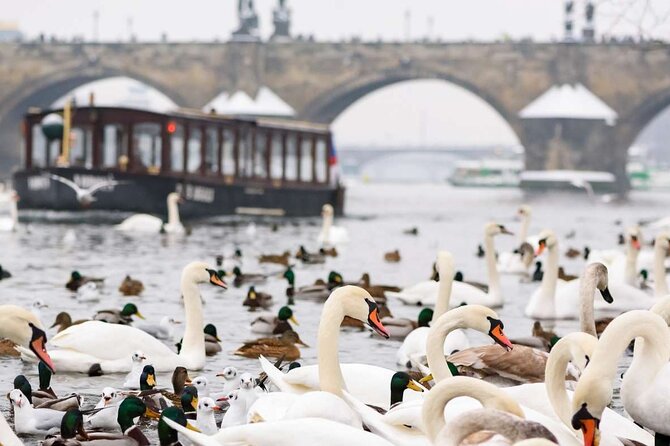 Charles Bridge: River Boat Cruise & Guided Tour ️with PragueWay - The boat ride on the Vltava area and Devil’s Channel