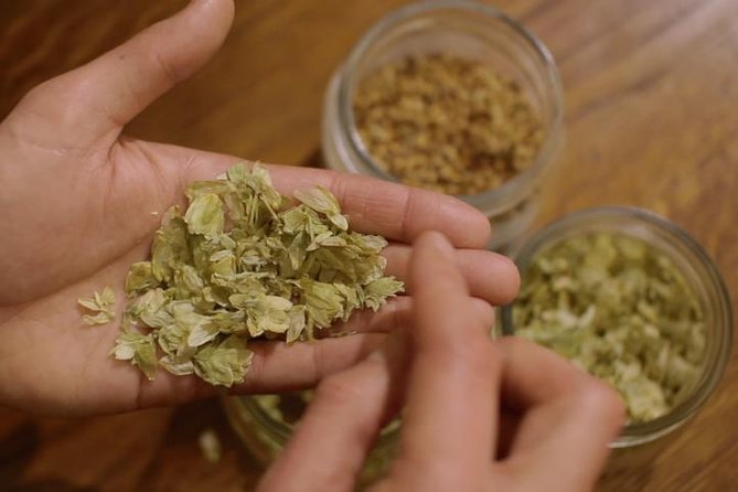 Czech Beer Tasting Experience - Seven beers, real learning, and how to taste like a pro