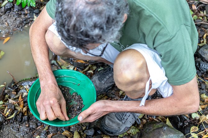 Czech garnet panning, scenic drive, farm & cheese, lunch & beer - Goat farm meet-up and tasting Czech goats cheese