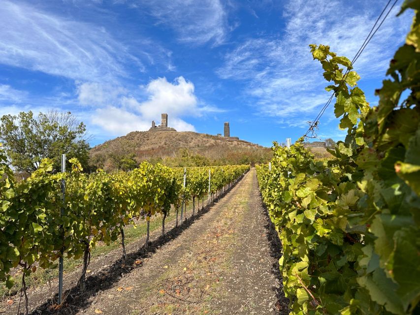 Czech Vineyards and Wine Tasting 4WD Tour with Lunch - Should you book this Czech Vineyards and Wine Tasting 4WD Tour?