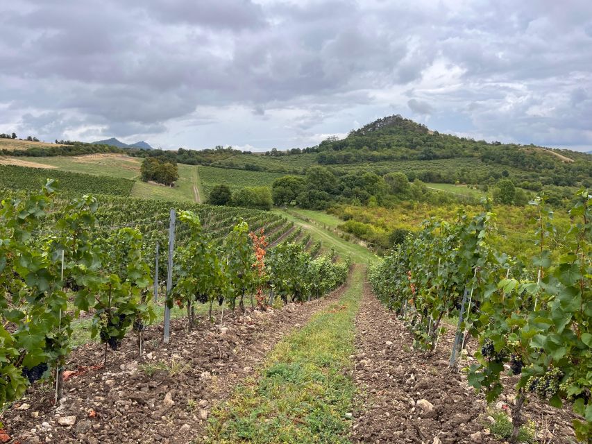 Czech Vineyards and Wine Tasting 4WD Tour with Lunch - Lunch in the countryside: regional food plus unlimited beer
