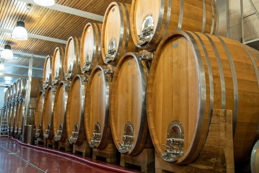 Czech Vineyards and Wine Tasting 4WD Tour with Lunch - Five gothic castles and a Jewish cemetery, all in one day