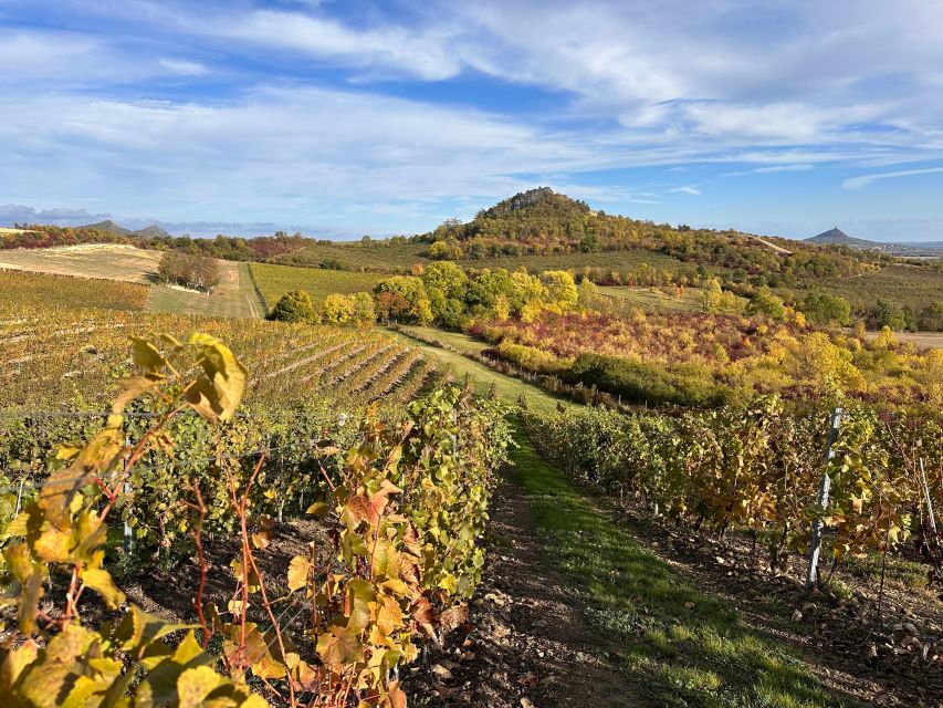 Czech Vineyards and Wine Tasting 4WD Tour with Lunch - 4x4 comfort and group size: why this matters in Prague-to-country trips