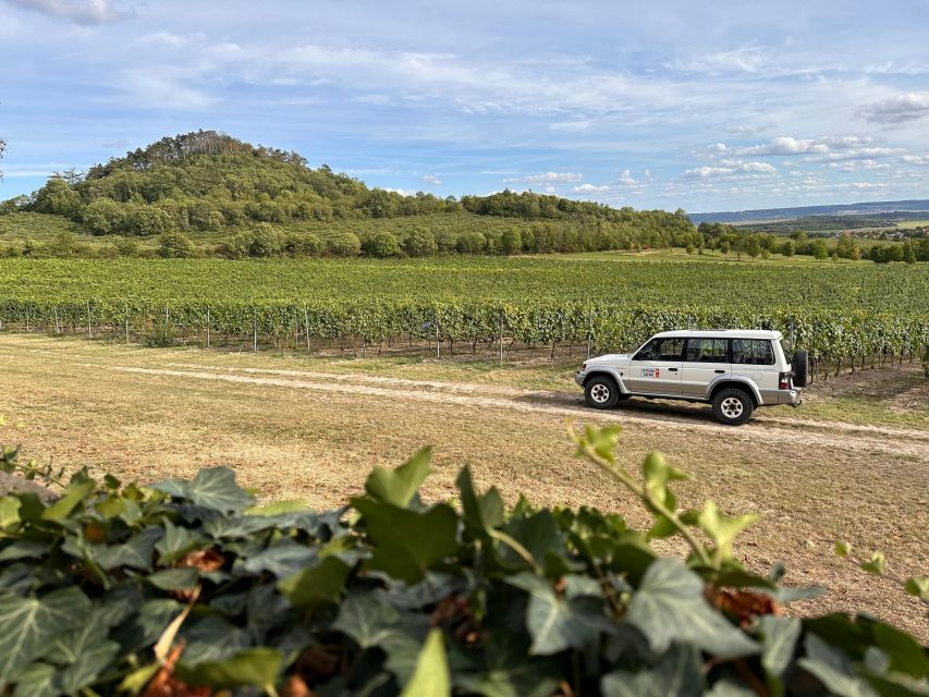 Czech Vineyards and Wine Tasting 4WD Tour with Lunch - Best match: who should book this tour
