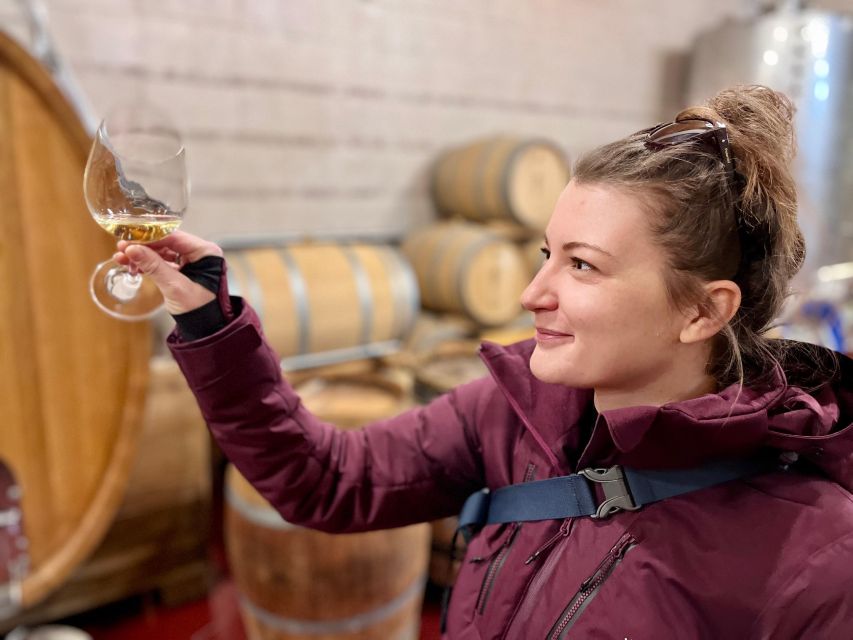 Czech Vineyards and Wine Tasting 4WD Tour with Lunch - The boutique winery experience, from welcome drink to cellar barrels