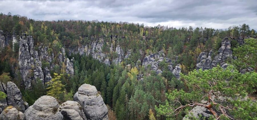 Day trip from Prague to Bohemian and Saxon Switzerland - The boat cruise through Edmund’s or Wild Gorge, plus what to expect