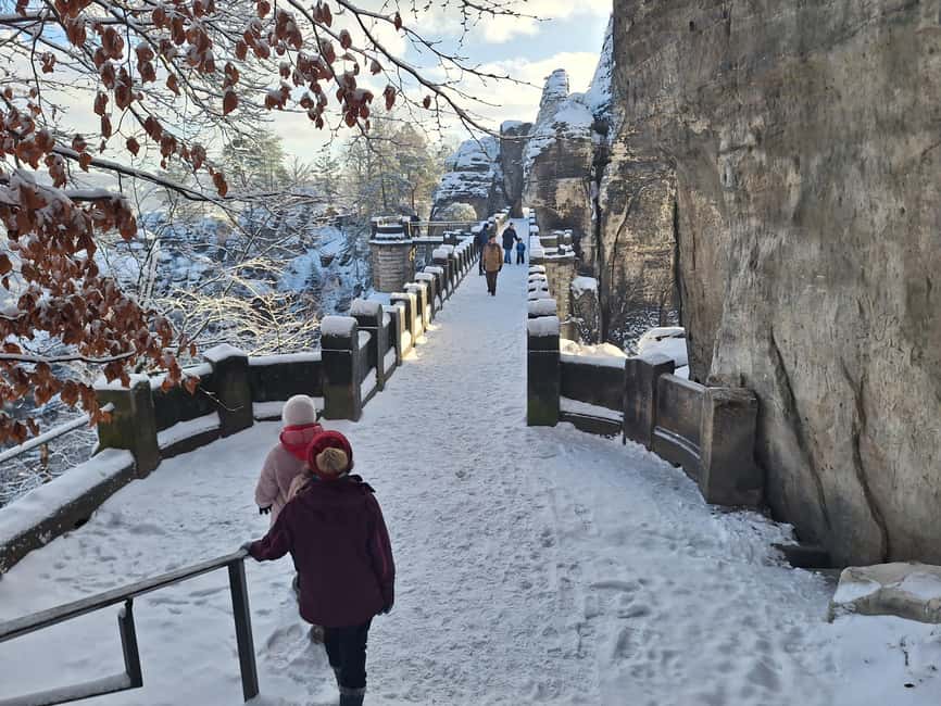Dresden: Bohemian and Saxon Switzerland Small Group Tour - Bastei Bridge and the Elbe cliff viewpoints you’ll remember