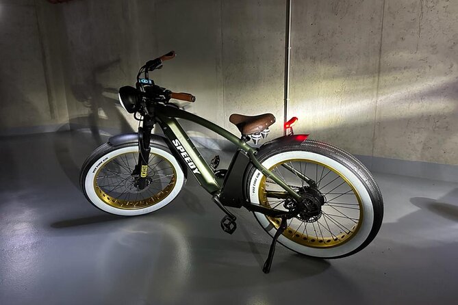 Ebike Sunset tour of Prague - Summer Park and Letná Park: where the views start doing the work