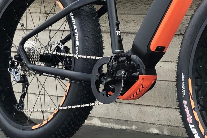 FAT TIRE E-BIKE GREAT TOUR - river, parks & panoramic views tour - What you pay, and why it can still be good value at $80.60