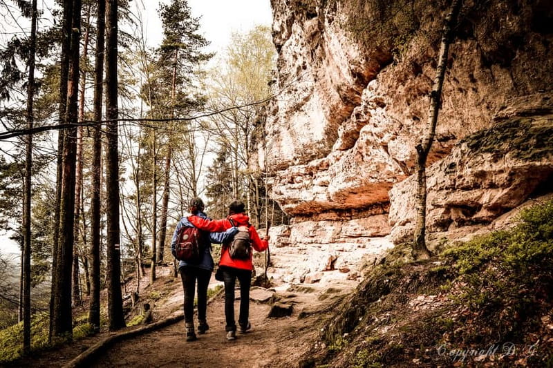 From Prague: Bohemian & Saxon Switzerland All-Inclusive Tour - Kamenice Gorge by long-tail boat and gondola ride
