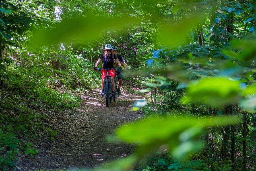 From Prague: E-Mountain Biking Trip to the Bohemian Paradise - Nebakov lakeside downhill, then lunch with a drink