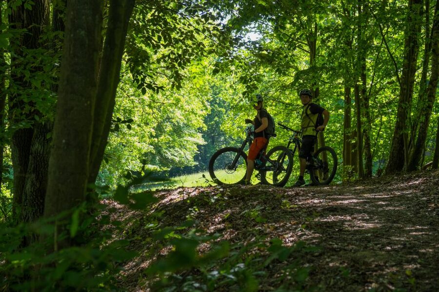 From Prague: E-Mountain Biking Trip to the Bohemian Paradise - Hruboskalsko Rock Town ridgeline: the day’s big riding payoff