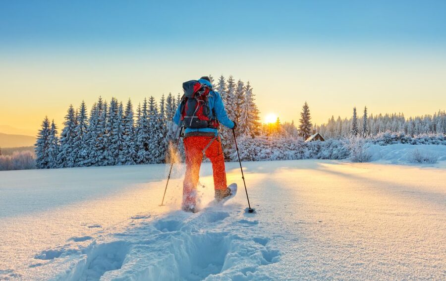 From Prague: Guided Snowshoe Tour with Mountain Views - Learning snowshoes fast, with gear that makes the first steps easier