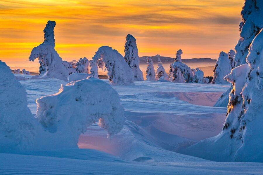 From Prague: Guided Snowshoe Tour with Mountain Views - Night snowshoeing with headlamps: the last 30 minutes you will remember