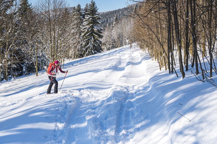 From Prague: Guided Snowshoe Tour with Mountain Views - What to bring, and how to avoid the most common winter mistakes
