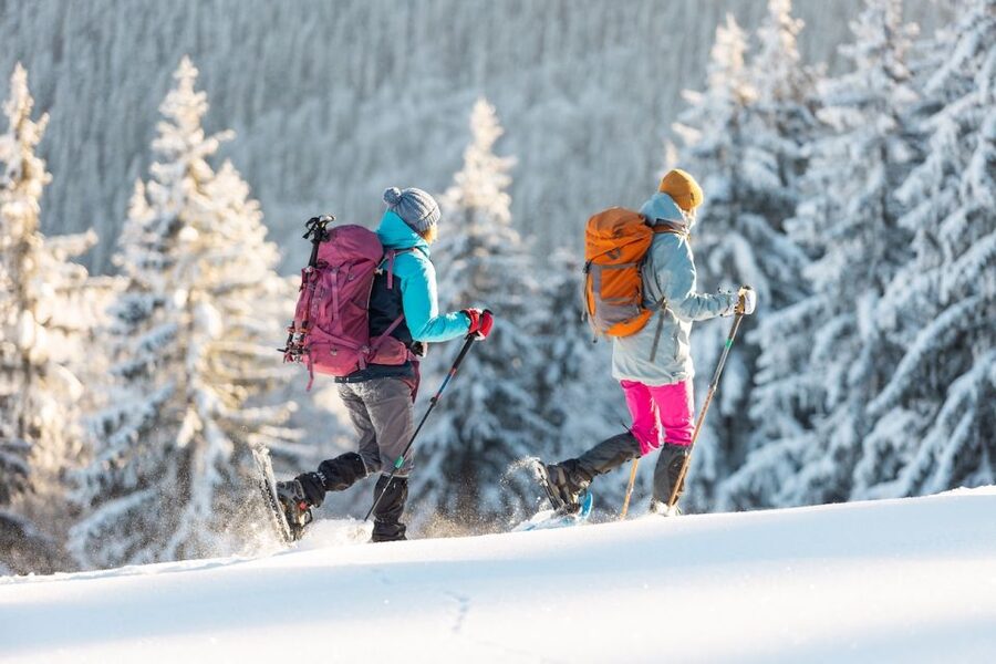 From Prague: Guided Snowshoe Tour with Mountain Views - Should you book this Prague to Jested snowshoe tour?