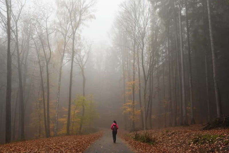 From Prague: Hike the Hidden Valleys of Bohemian Paradise - Hruboskalsko’s rock towers and the mouse hole passage