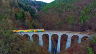 Sazava River Canoe Day Trip for All Levels