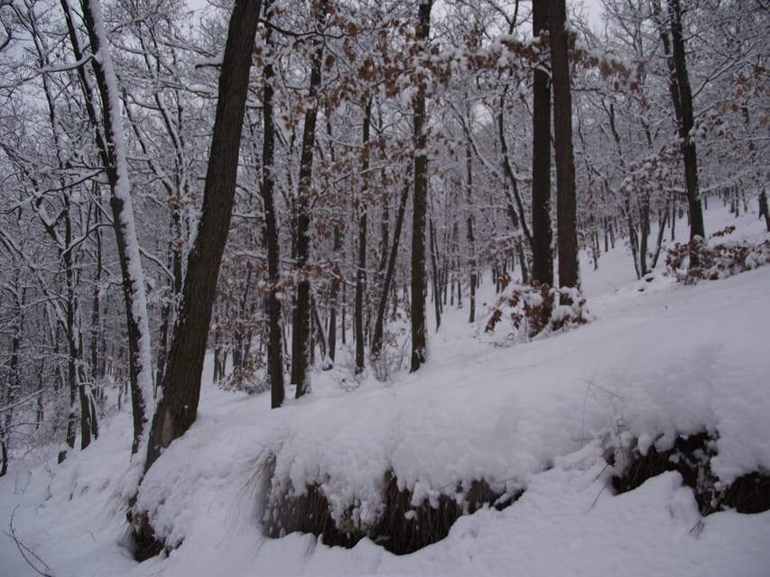 Get to know South Moravia with us. 6 hour tour. - Price and value, including the one extra cost on the Moravian Karst option