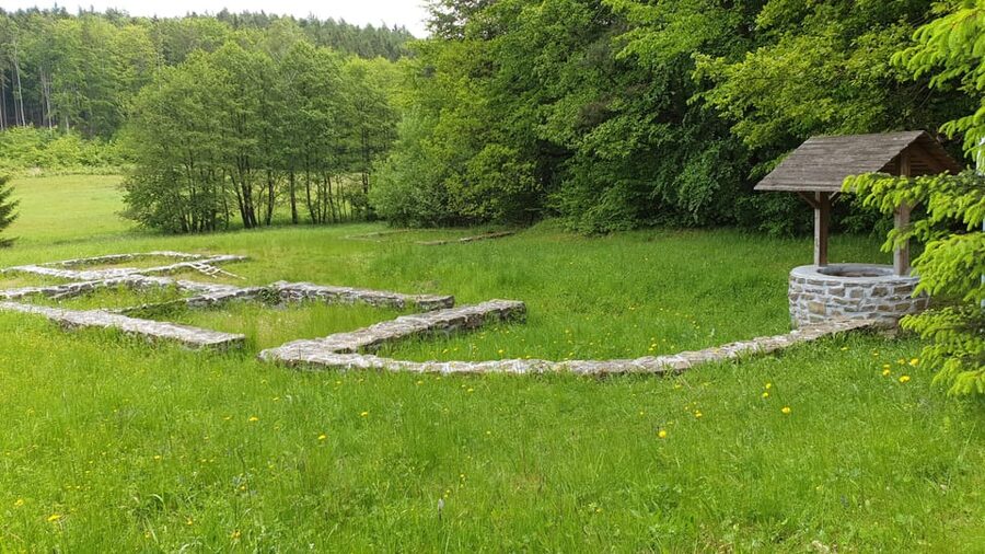 Get to know South Moravia with us. 6 hour tour. - Who should choose which option