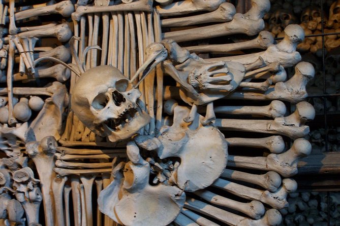 Half-Day Trip to Kutna Hora+Bone Church and Free Time from Prague - Pickup, minivan comfort, and the small-group vibe