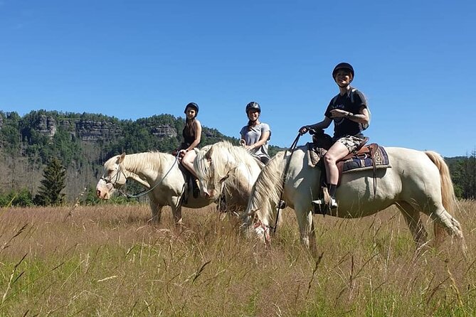 Horseback Riding Tour in Bohemian Switzerland - The guide factor: why commentary changes the whole day