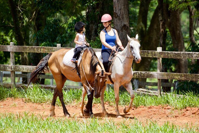 Horseback Riding Tour in Bohemian Switzerland - Price and value: what $300.38 buys you