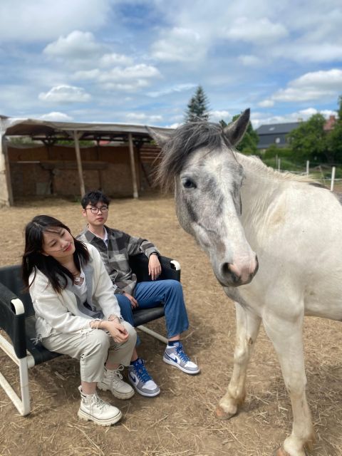 Horseback riding tour near Prague - Key points