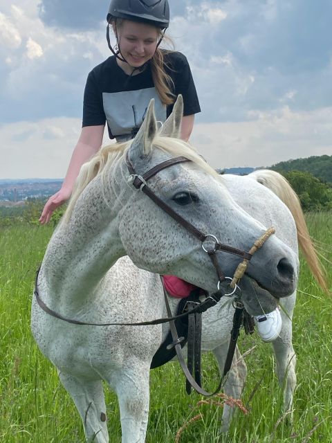 Horseback riding tour near Prague - Bitless horseback riding near Prague, built around animal welfare