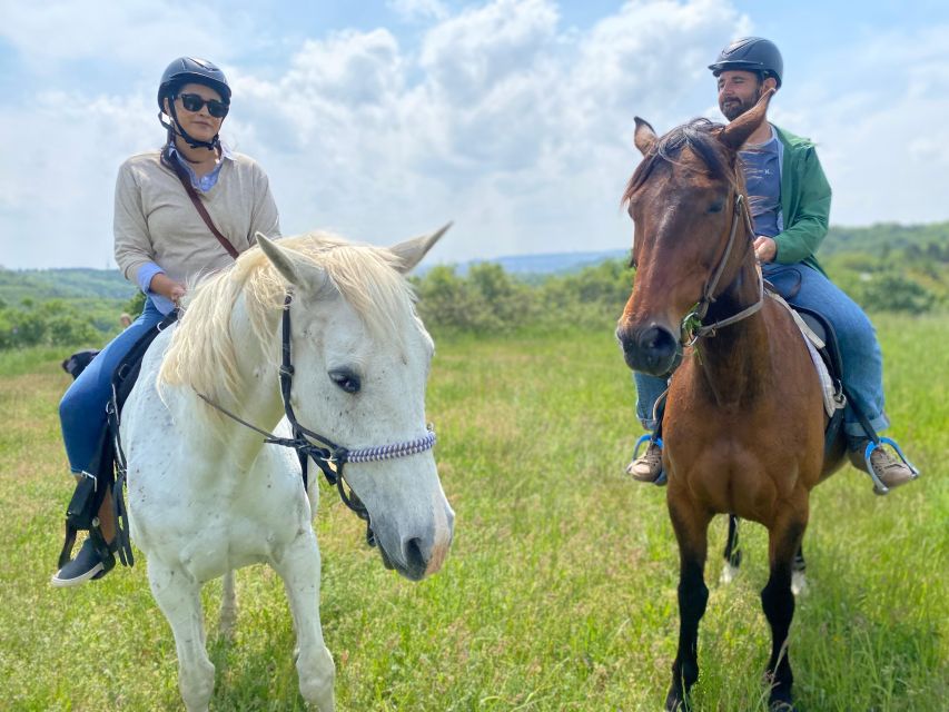 Horseback riding tour near Prague - Deer, wild boars, and the calm reality of wildlife surprises
