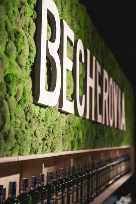 Karlovy Vary: Home of Becherovka Visitor Center Guided Tour - The included tastings at Jan Becher: what you get and how to enjoy it