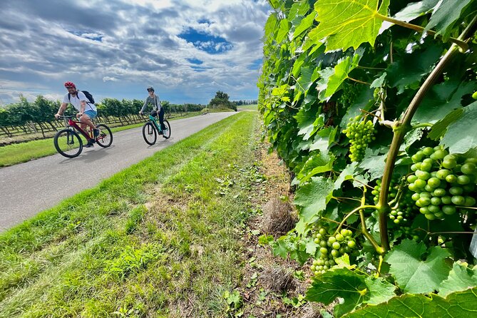 Moravian E-Bike & Wine Day Trip From Brno - Key highlights you will feel right away