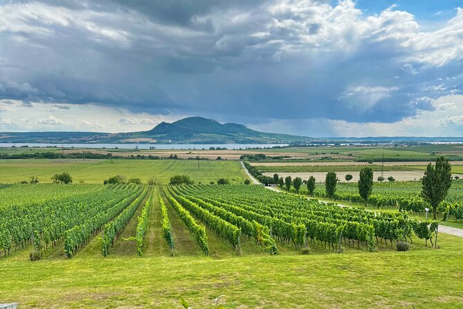 Moravian E-Bike & Wine Day Trip From Brno - Moravian Tuscany on an e-bike from Brno