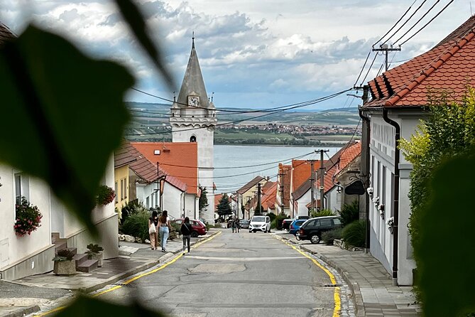 Moravian E-Bike & Wine Day Trip From Brno - Wine tasting: five Czech whites, one guided comparison