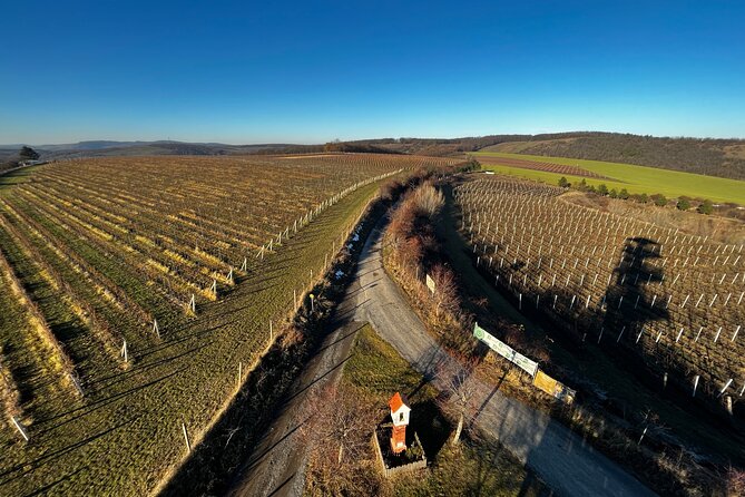 Moravian E-Bike & Wine Day Trip From Brno - Who this Moravian E-bike and Wine Day Trip suits best