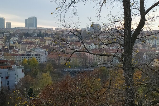Non-touristy Prague - Cozy Neighborhoods - Private Tour - How the Public Transport Part Changes Your Perspective