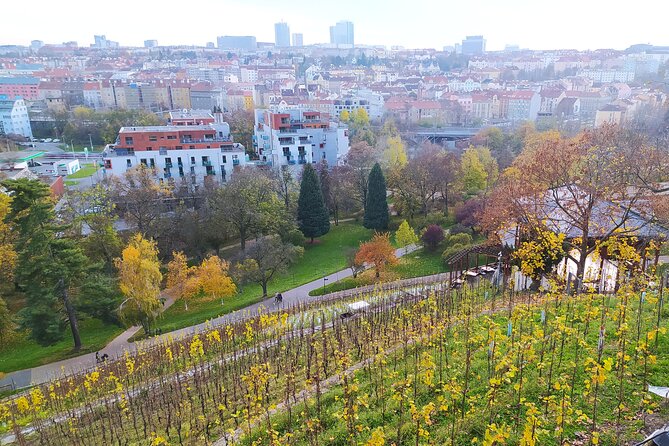 Non-touristy Prague - Cozy Neighborhoods - Private Tour - What the Guide Adds, and Why Humor Helps