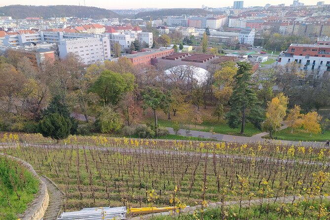Non-touristy Prague - Cozy Neighborhoods - Private Tour - Who This Tour Suits Best