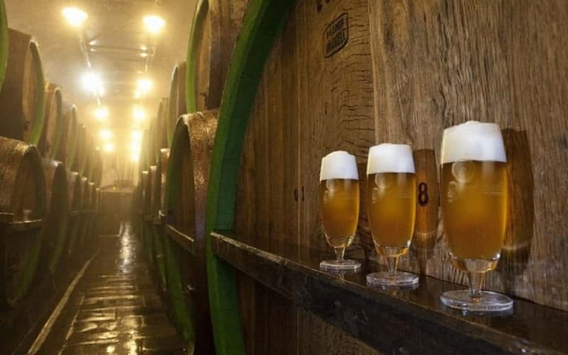 Pilsner Brewery & Nizbor Glass Factory Combination Tour - A Czech product safari: beer meets crystal