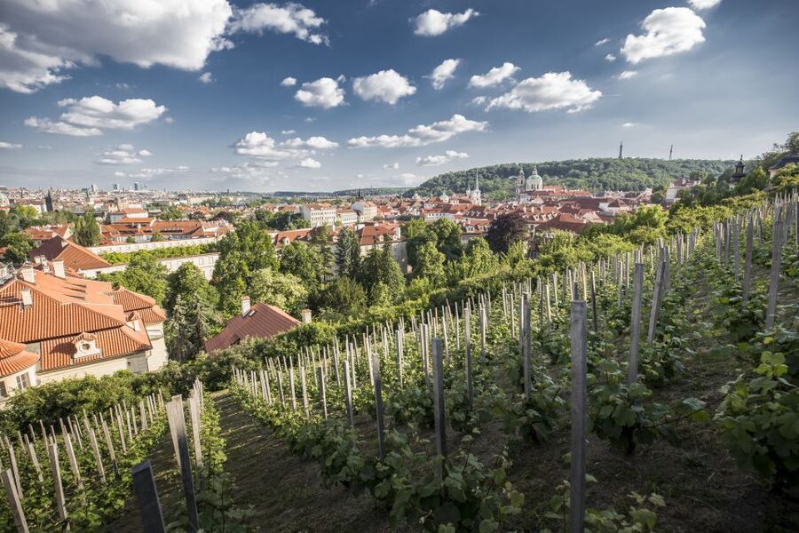 Prague: 3–Hour Castle Grounds Walking Tour and River Cruise - Getting your bearings with a smart Old Town to river start