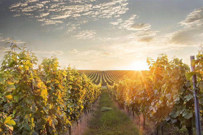 Prague-Bratislava One-Way Sightseeing Day Tour - Budget reality check: tickets, lunch, and optional wine