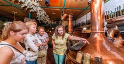 Brewery Tour with Unlimited Tastings