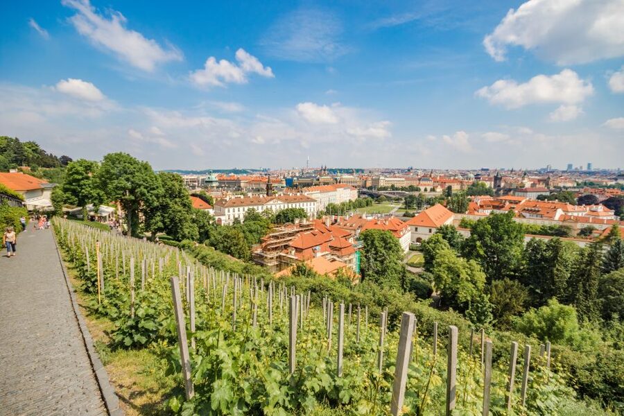 Prague Castle 2.5-Hour Tour Including Admission Ticket - St. Vitus Cathedral: more than a stunning stop
