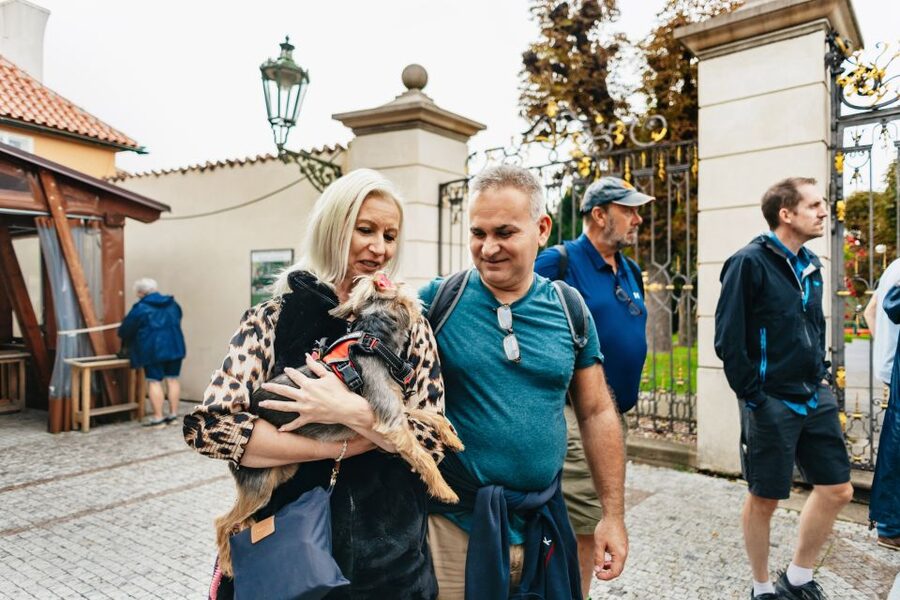 Prague: City Highlights By Bus, Boat, and on Foot - Vltava river cruise: the best Charles Bridge angle for most people